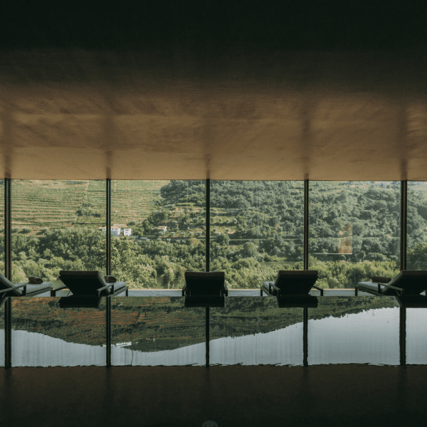 Torel Quinta da Vacaria